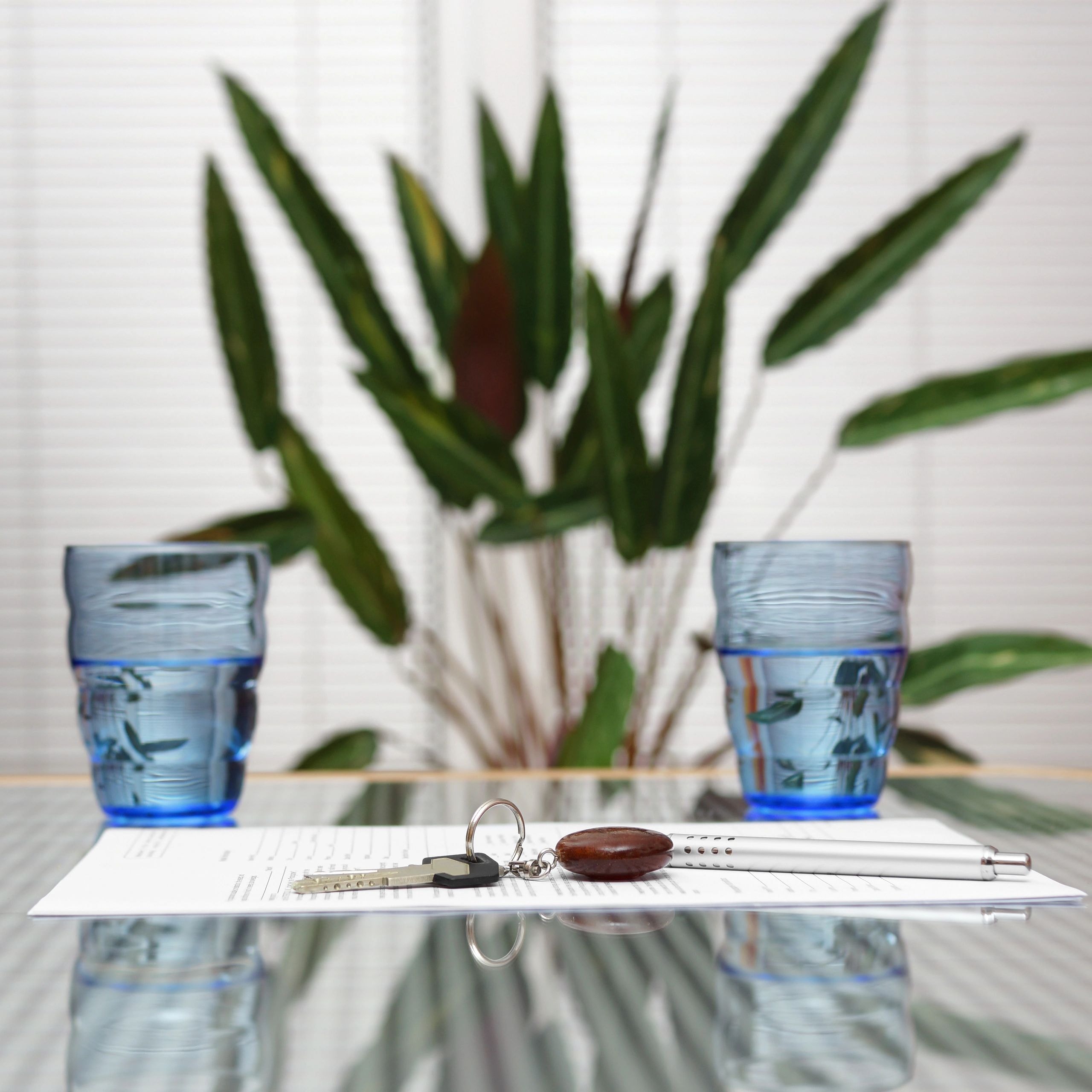 A calm, bright consultation space with fresh water on a glass table